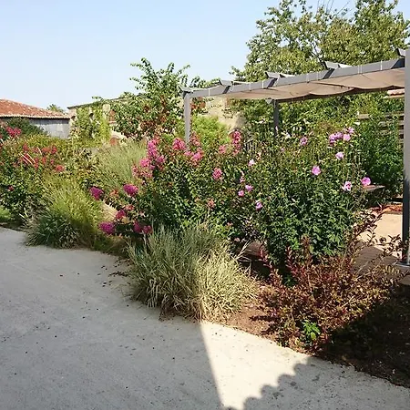A Fleur Des Champs לינה וארוחת בוקר